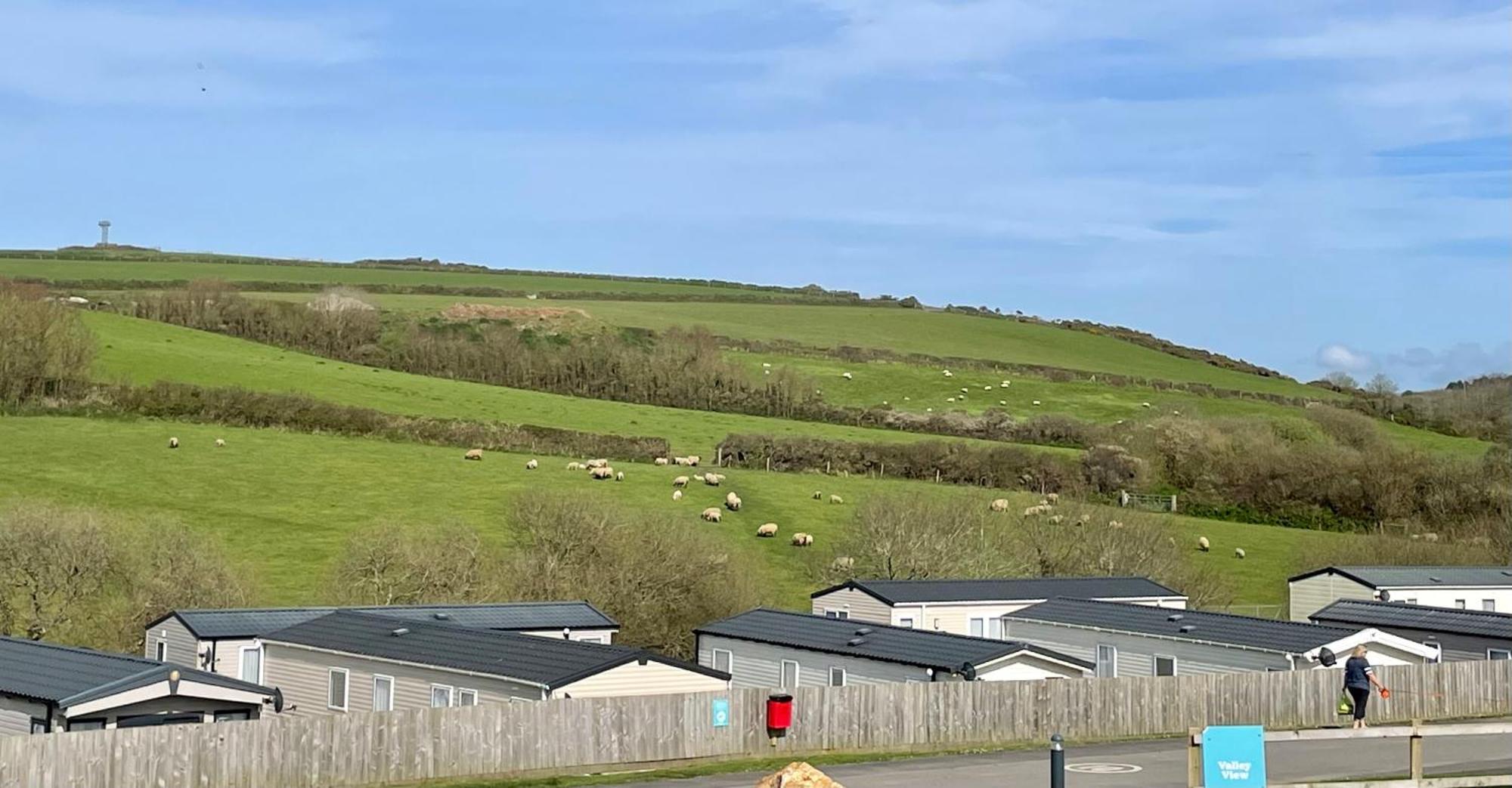 Newquay Bay Resort Sandy Toes - Pet Friendly Extérieur photo